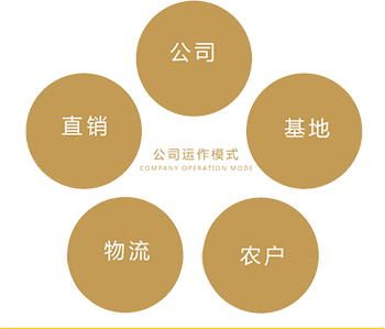 桃李春风食品产业园